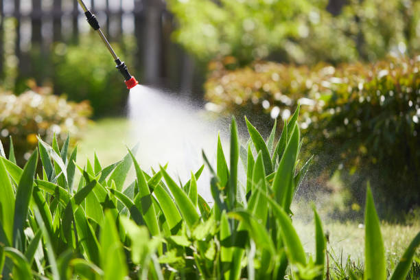 24/7 Emergency Mosquito Control experts in Tyro, NC