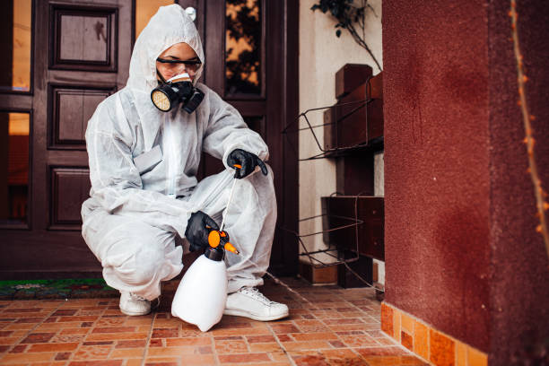 Reliable Mosquito Control contractor in Tyro, NC by Nex Pest Control
